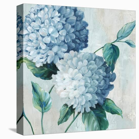 Blue Hydrangea Blooms II-Alex Black-Stretched Canvas