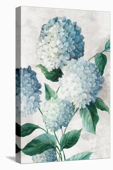 Blue Hydrangea Florals-Alex Black-Stretched Canvas