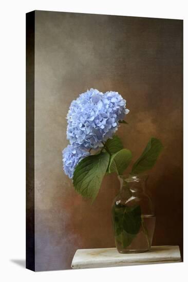 Blue Hydrangea in a Vase-Jai Johnson-Premier Image Canvas