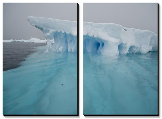 Blue Ice on the Antarctic Peninsula on the Edge of Antarctic Sound-Joel Sartore-Stretched Canvas