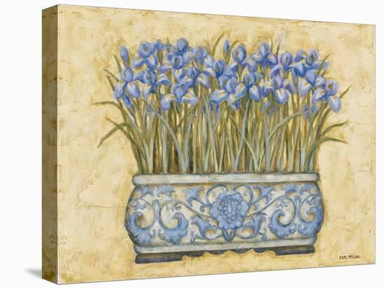 Blue Irises-Eva Misa-Stretched Canvas