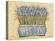 Blue Irises-Eva Misa-Stretched Canvas