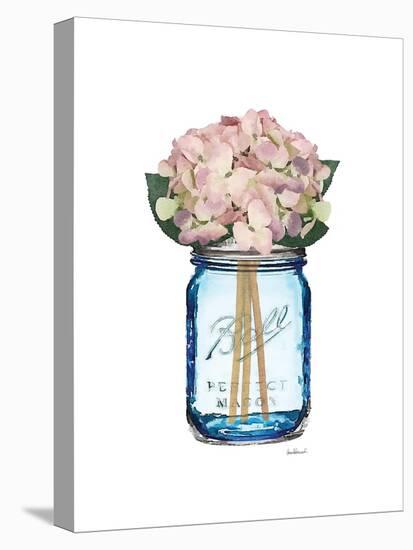 Blue Jar Hydrangea-Amanda Greenwood-Stretched Canvas