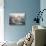 Blue Jay Bed and Breakfast-Carl Valente-Stretched Canvas displayed on a wall