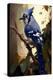 Blue Jay Bird-Vivienne Dupont-Stretched Canvas