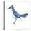 Blue Jay (Cyanocitta Cristata), Birds-Encyclopaedia Britannica-Stretched Canvas