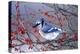 Blue Jay in Winterberry Bush in Winter Marion County, Illinois-Richard and Susan Day-Premier Image Canvas