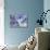 Blue Jay Way-Lauren Moss-Premier Image Canvas displayed on a wall