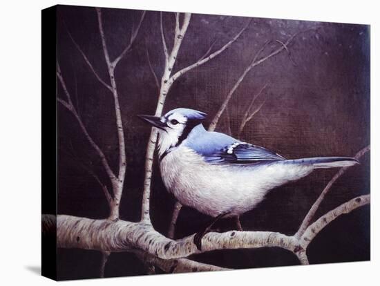 Blue Jay-Kevin Dodds-Premier Image Canvas