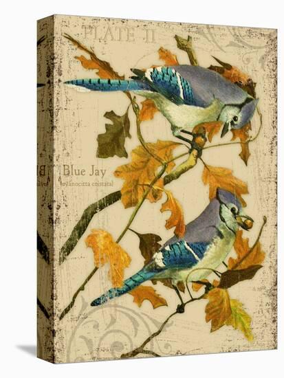 Blue Jay-Kate Ward Thacker-Premier Image Canvas