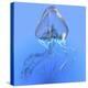 Blue Jellyfish Illustration-Stocktrek Images-Stretched Canvas