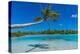 Blue lagoon, Fakarava, Tuamotu archipelago, French Polynesia-Michael Runkel-Premier Image Canvas