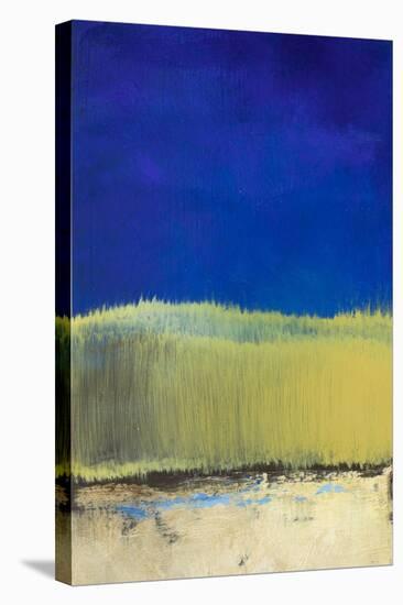 Blue Lagoon II-Lanie Loreth-Stretched Canvas