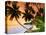 Blue Lagoon Resort Beach, Weno Centre, Micronesia-John Elk III-Premier Image Canvas