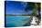 Blue Lagoon With Palm Trees, Aruba-George Oze-Premier Image Canvas