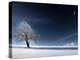 Blue Like Snow-Philippe Sainte-Laudy-Premier Image Canvas