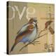 Blue Love Birds II-Patricia Pinto-Stretched Canvas