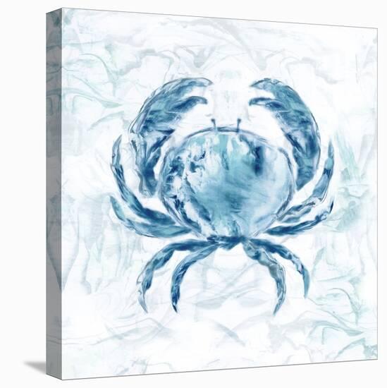 Blue Marble Coast Crab-null-Stretched Canvas