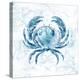 Blue Marble Coast Crab-null-Stretched Canvas