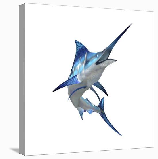 Blue Marli-null-Stretched Canvas