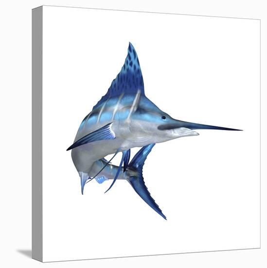 Blue Marlin-null-Stretched Canvas