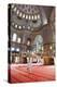 Blue Mosque Interior, UNESCO World Heritage Site, Mullah in Foreground, Istanbul, Turkey, Europe-James Strachan-Premier Image Canvas