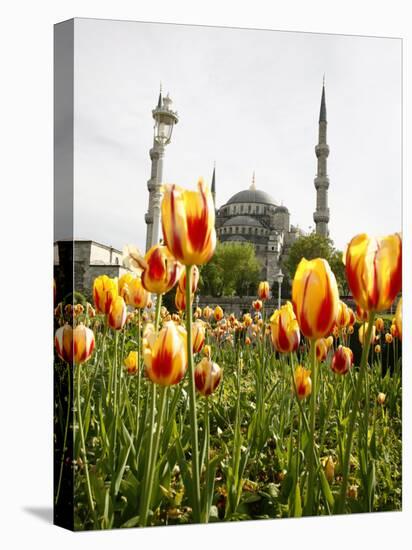 Blue Mosque, Istanbul, Turkey, Europe-Levy Yadid-Premier Image Canvas