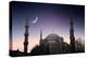 Blue Mosque - Istanbul / Turkey-PlusONE-Premier Image Canvas