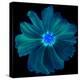 Blue Neon Flowers Background.-Memories Lines-Stretched Canvas
