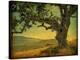 Blue Oak Hilltop-William Guion-Stretched Canvas