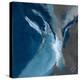 Blue Ocean Dance I-Lanie Loreth-Stretched Canvas