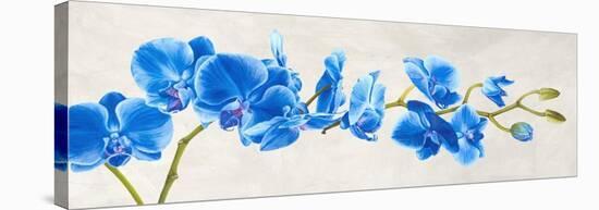 Blue Orchid-Shin Mills-Stretched Canvas