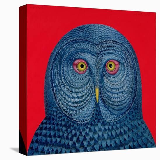 Blue Owl, 1995-Tamas Galambos-Premier Image Canvas
