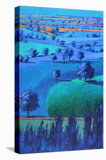 Blue painting-Paul Powis-Premier Image Canvas