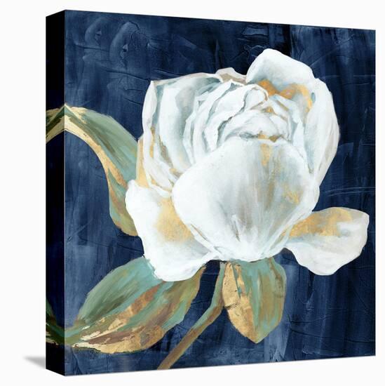 Blue Peony II-Alex Black-Stretched Canvas