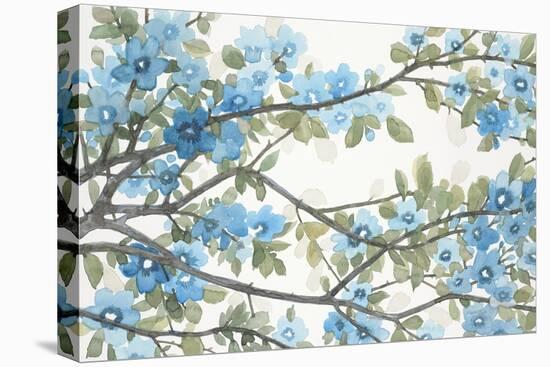 Blue Petals-Norman Wyatt Jr.-Stretched Canvas