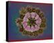 Blue pink red Chrysantheum Mandala-null-Stretched Canvas