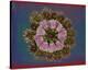 Blue pink red Chrysantheum Mandala-null-Stretched Canvas