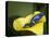 Blue poison dart frog-Maresa Pryor-Premier Image Canvas