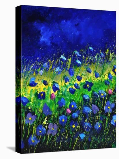 Blue Poppies 674160-Pol Ledent-Stretched Canvas