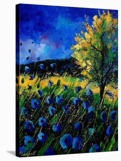 Blue Poppies 67-Pol Ledent-Stretched Canvas