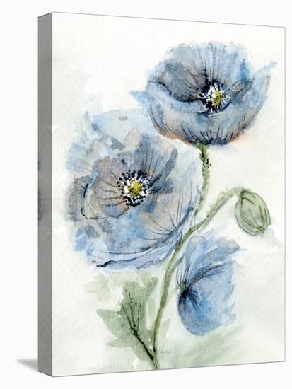 Blue Poppy 1-Patti Bishop-Stretched Canvas