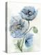 Blue Poppy 1-Patti Bishop-Stretched Canvas