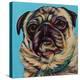 Blue Pug-Carolee Vitaletti-Stretched Canvas