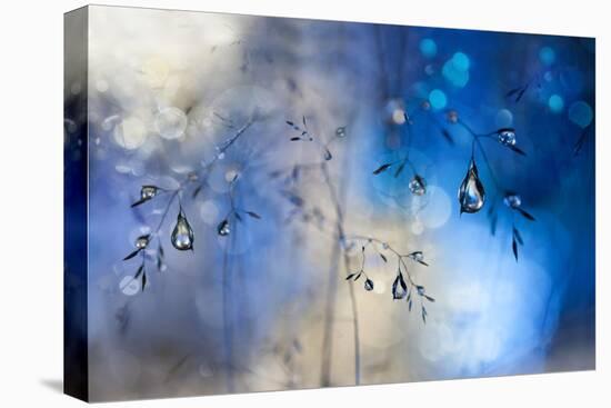 Blue Rain-Heidi Westum-Premier Image Canvas