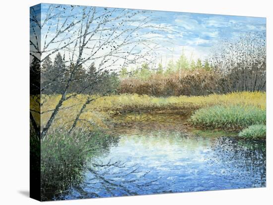 Blue Reflection-Kevin Dodds-Premier Image Canvas