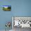 Blue Ridge Backyard-Alan Hausenflock-Premier Image Canvas displayed on a wall
