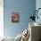 Blue Ridge Beauty-Steven Maxx-Premier Image Canvas displayed on a wall