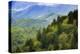 Blue Ridge Parkway vista, Smoky Mountains, USA.-Anna Miller-Premier Image Canvas