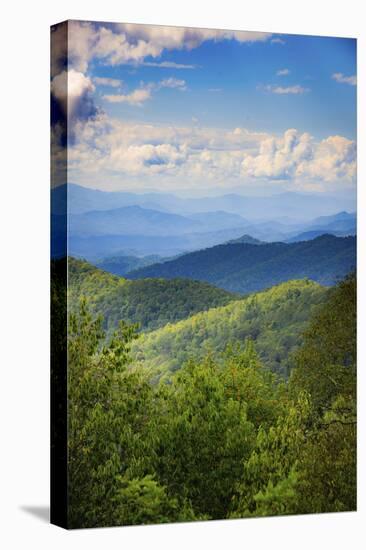 Blue Ridge Parkway vista, Smoky Mountains, USA.-Anna Miller-Premier Image Canvas